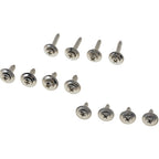 Dorman 02404 Chrome Trim Screw Assortment