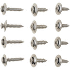 Dorman 02404 Chrome Trim Screw Assortment