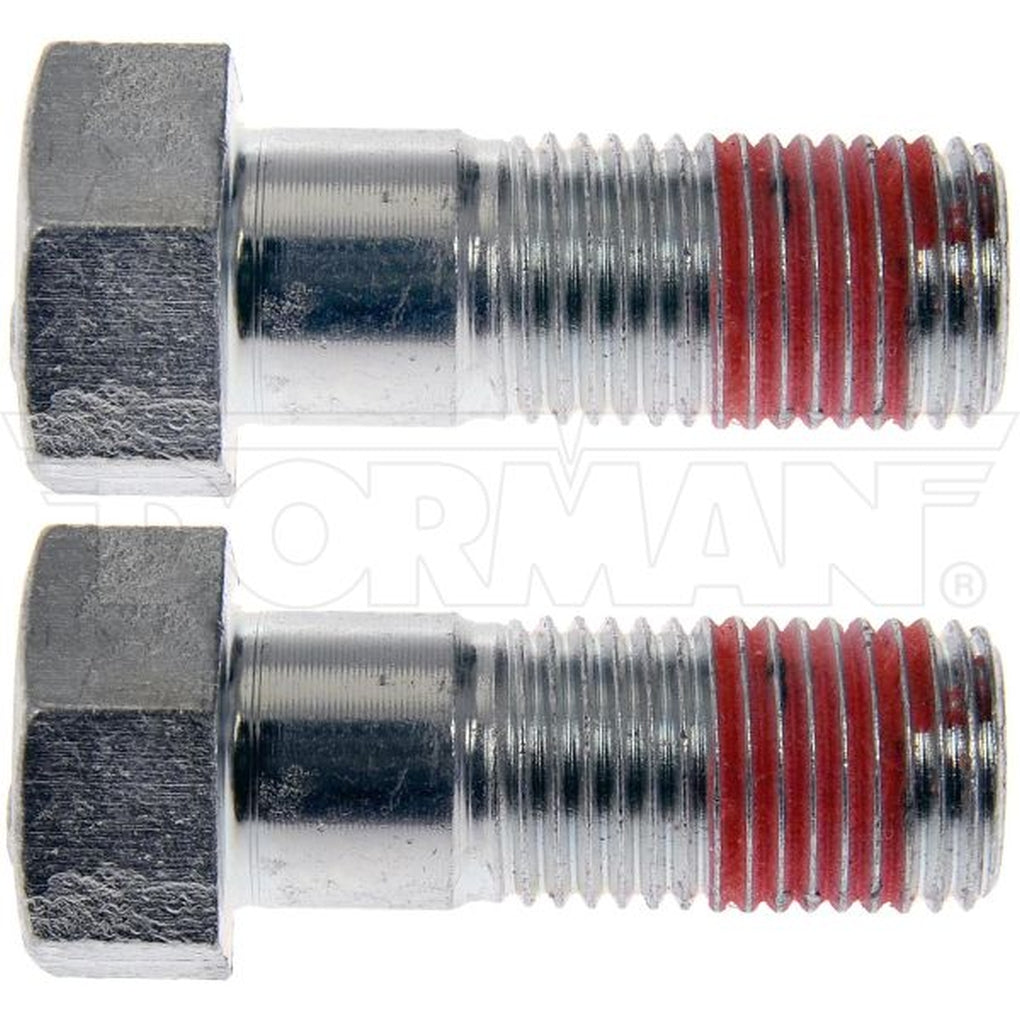 Dorman 14995 Brake Caliper Bracket Bolts