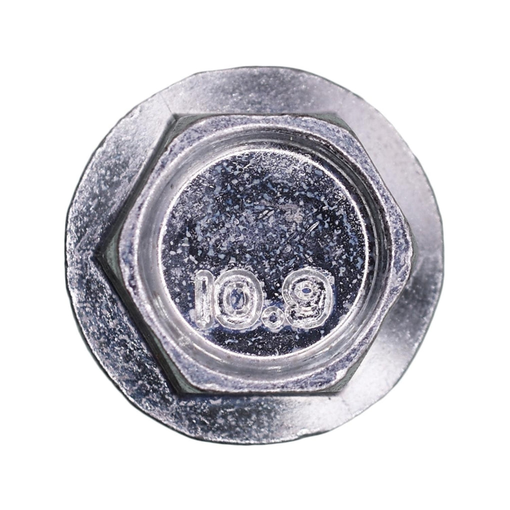 Auveco 17316 Hex Flange License Plate Screw M6-1.0 x 16mm