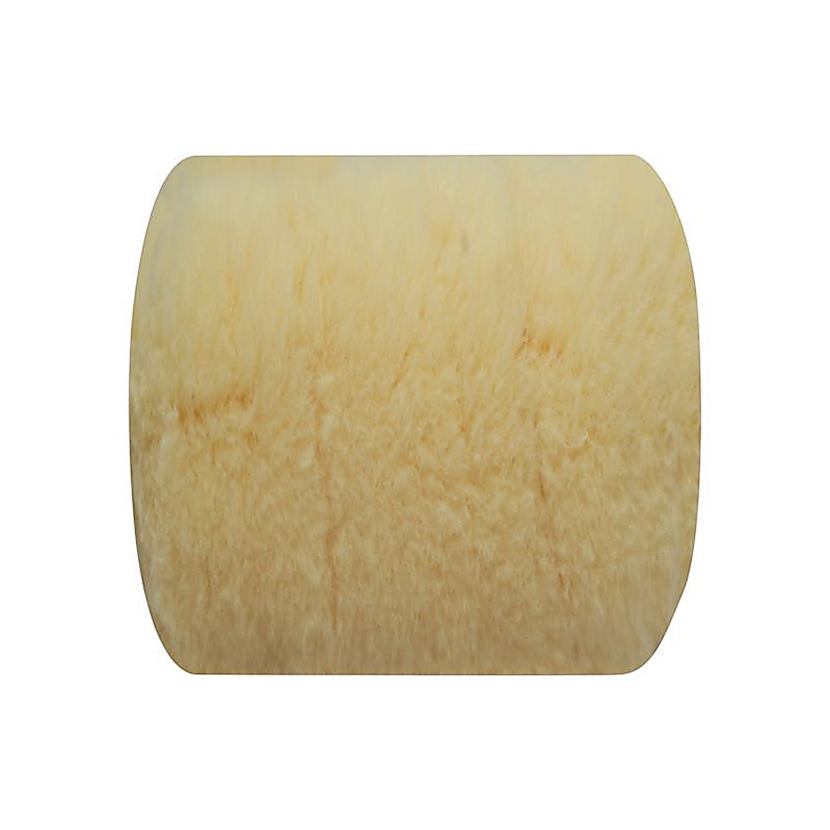 Arroworthy 9FLD10 Pro-Line Polyester 9 in. W x 1-1/4 in. Paint Roller Cover 1/Pack