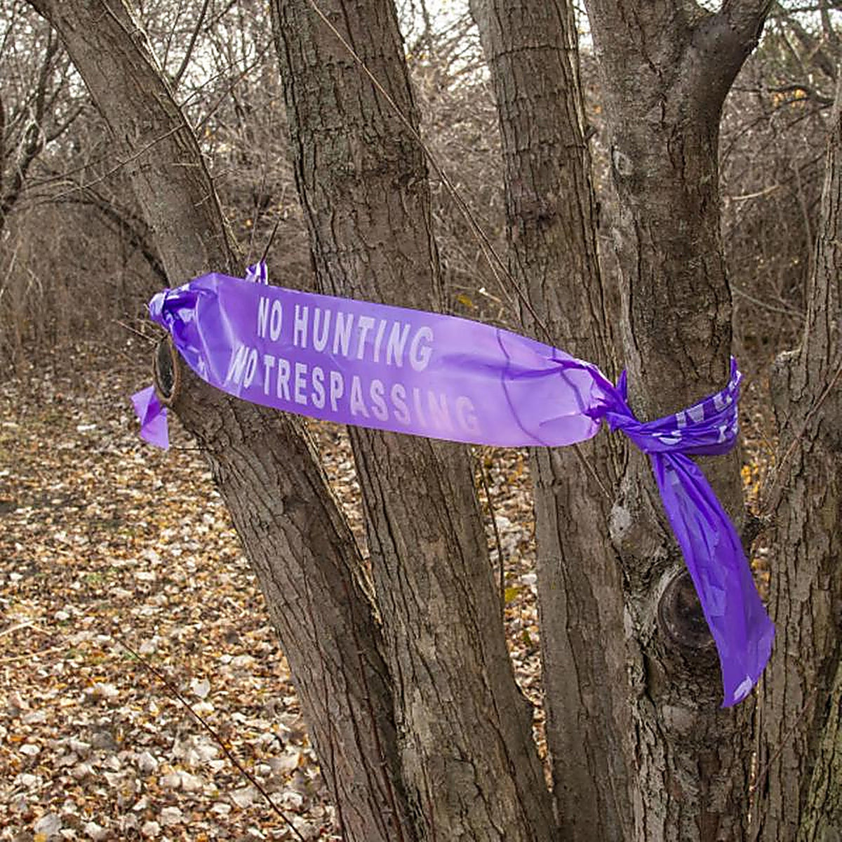 C.H. Hanson 15150 100 ft. L x 6 in. W Plastic No Hunting No Trespassing Barricade Tape Purple