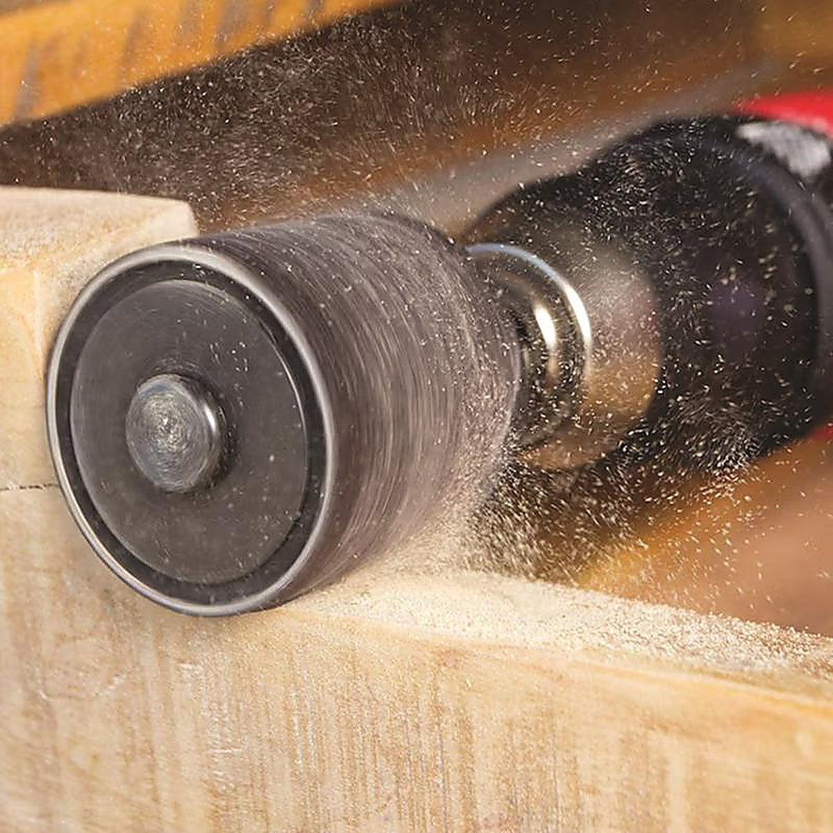 Gator 6075 3/4 in. Dia. x 3/4 in. L Aluminum Oxide Drum Sander Kit 50 Grit Coarse 1/pc.