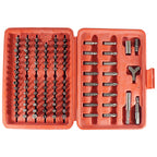 Best Way Tools 24380 Assorted Screwdriver Bit Set Carbon Steel 100/pc.