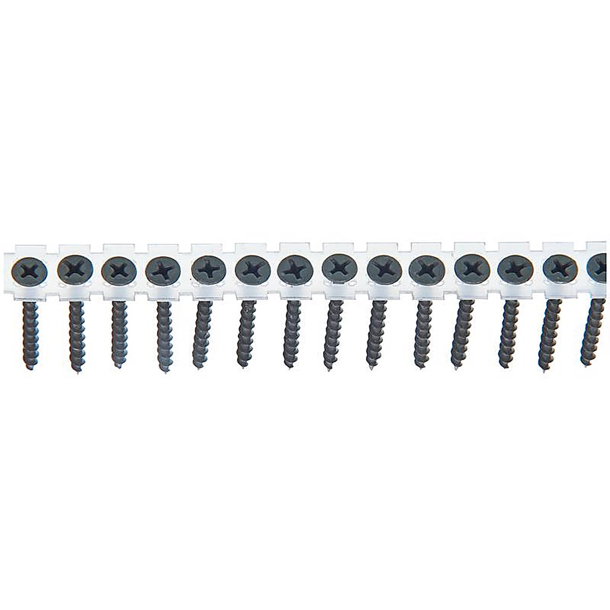 Senco 06A162P DuraSpin No. 6 x 1-5/8 in. L Phillips Drywall Screws 1000 lb. 1000/Pack