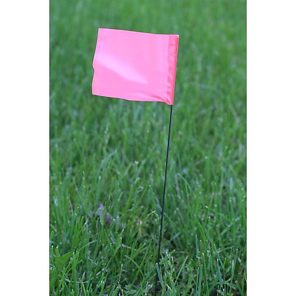 C.H. Hanson 15066 15 in. Pink Marking Flags Polyvinyl 10/Pack