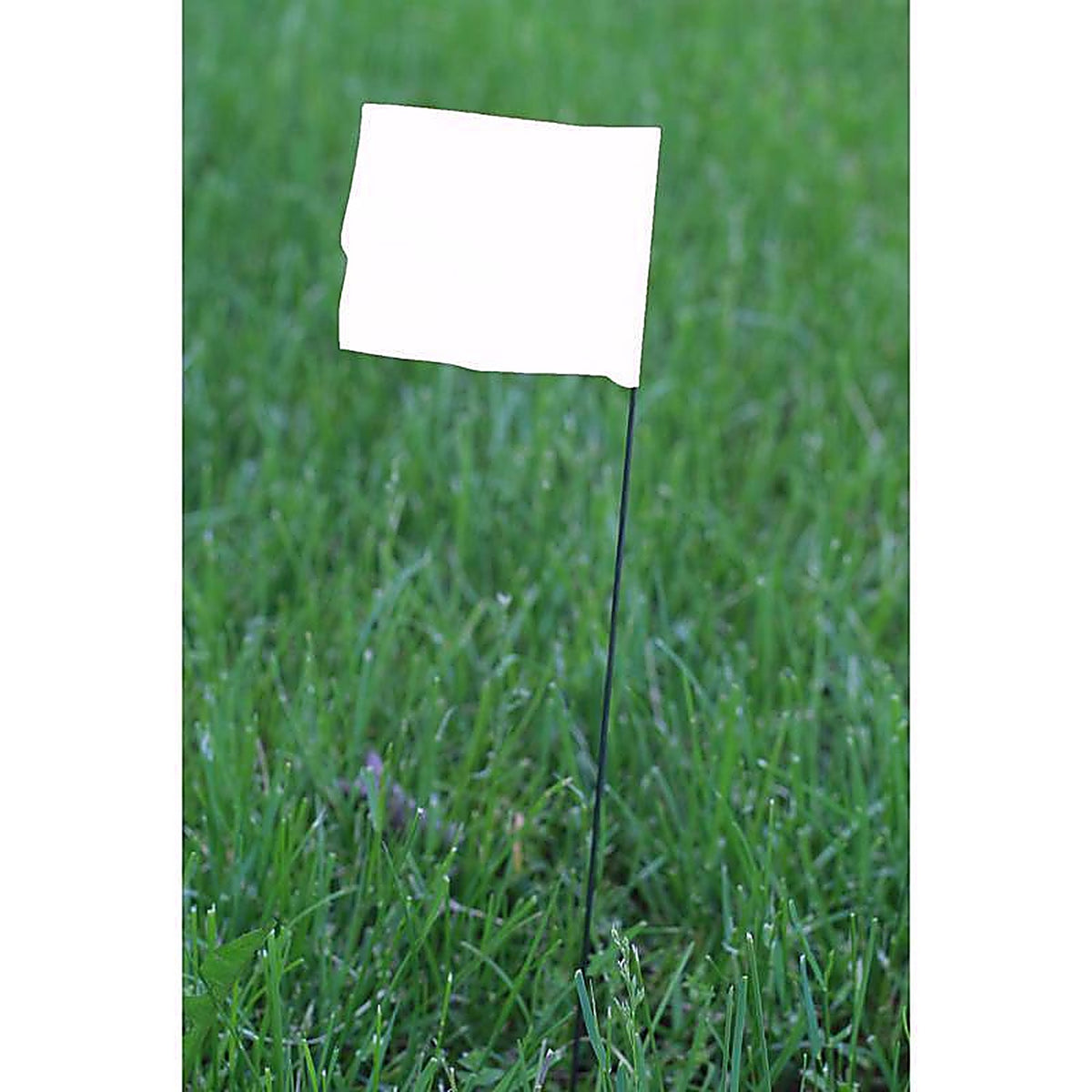 C.H. Hanson 15180 15 in. White Marking Flags Polyvinyl 10/Pack