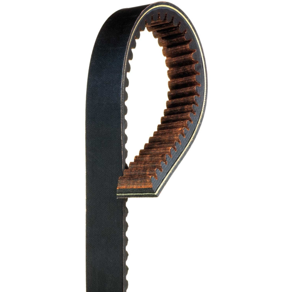 Gates 24G3884 Recreational G-Force Belt