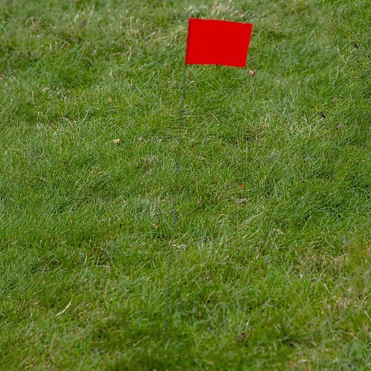 C.H. Hanson 15080 21 in. Fluorescent Red Marking Flags Polyvinyl 100/Pack