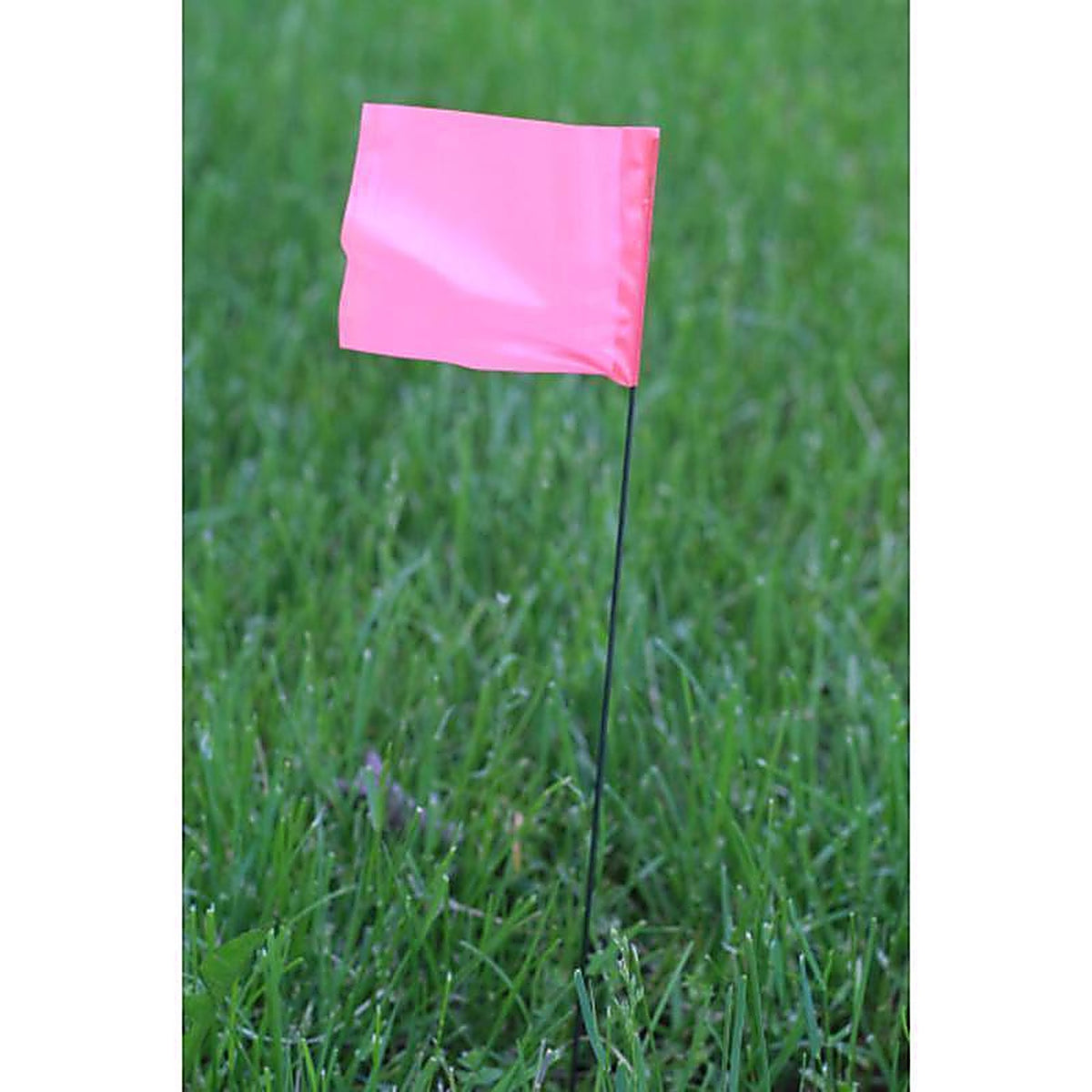C.H. Hanson 15081 21 in. Pink Marking Flags Polyvinyl 100/Pack