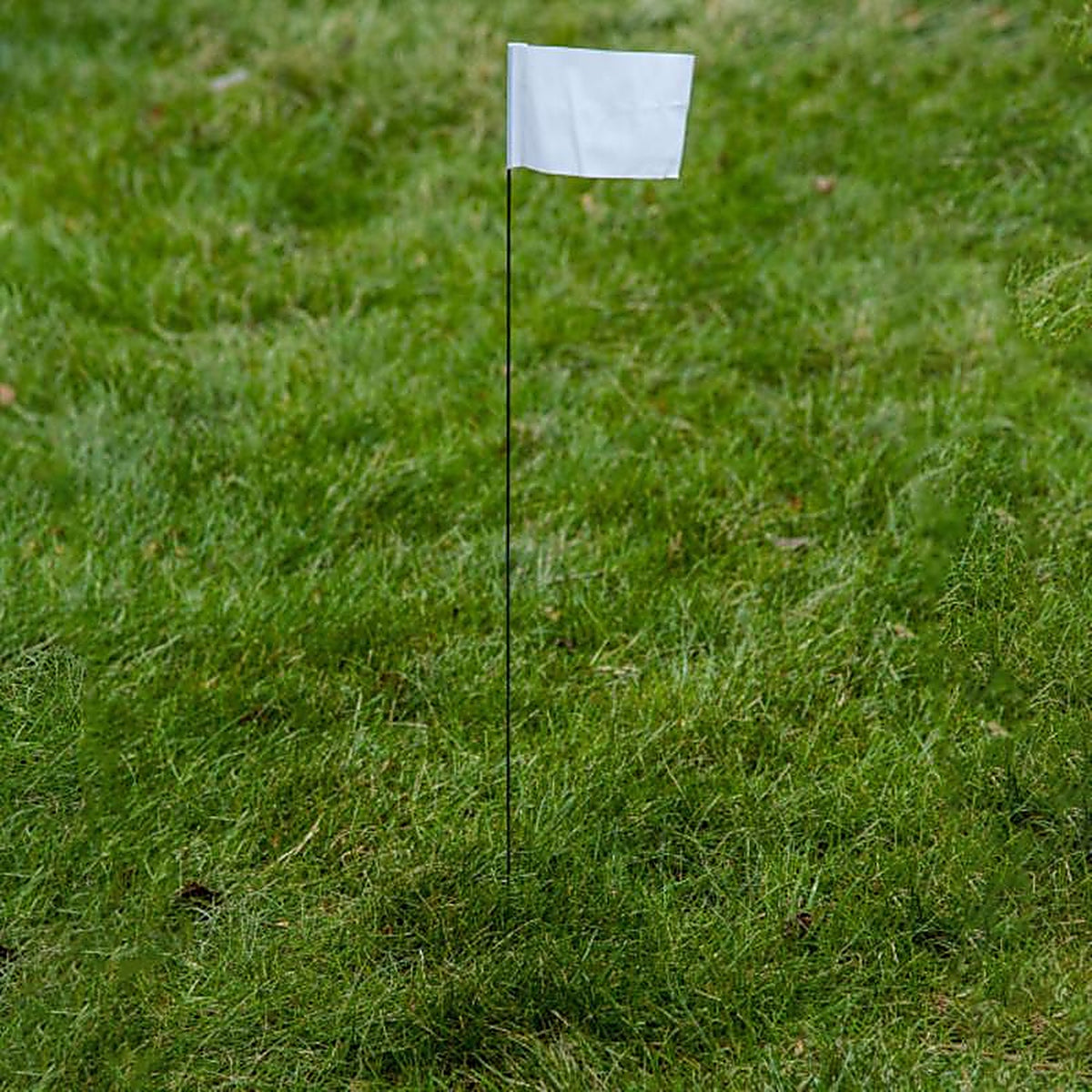 C.H. Hanson 15086 21 in. White Marking Flags Polyvinyl 100/Pack