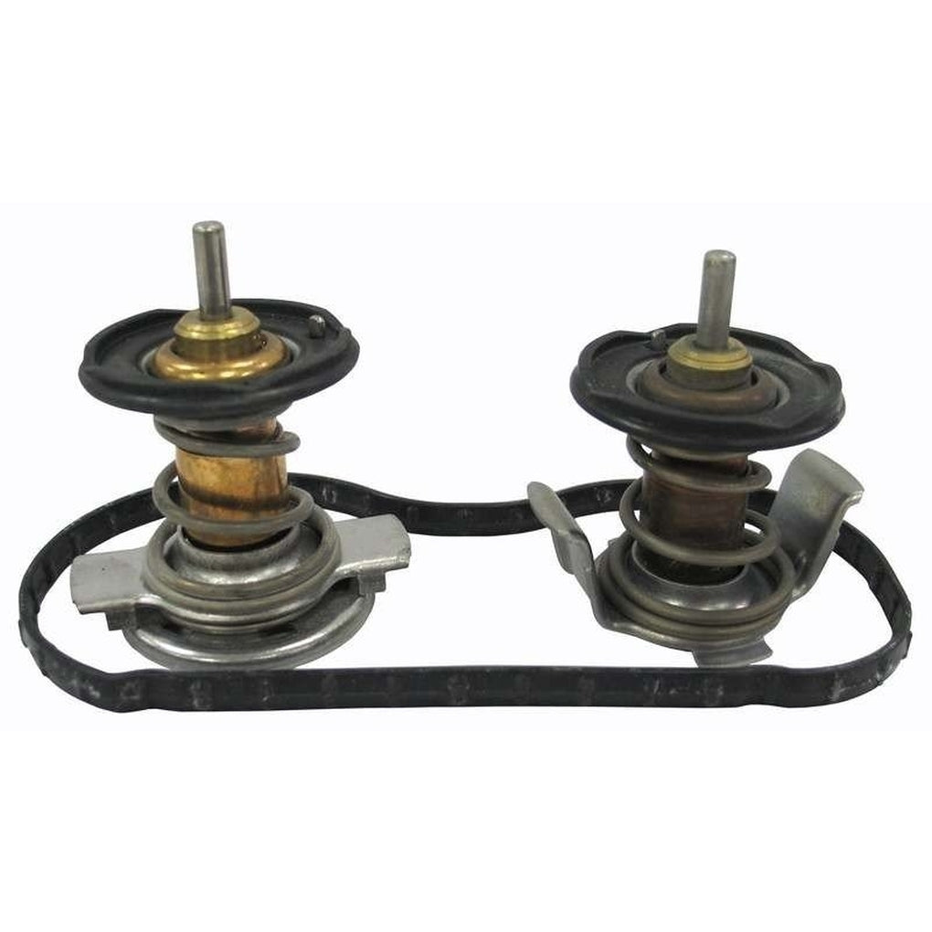 Gates 34200 Thermostat