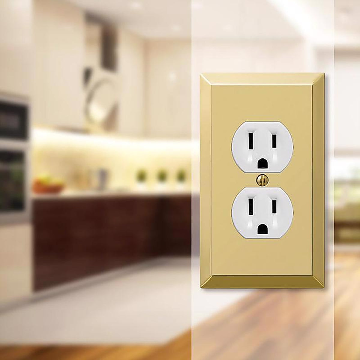 Amerelle 163DBR Century Polished Brass Brass 1 gang Stamped Steel Duplex Outlet Wall Plate 1/Pack