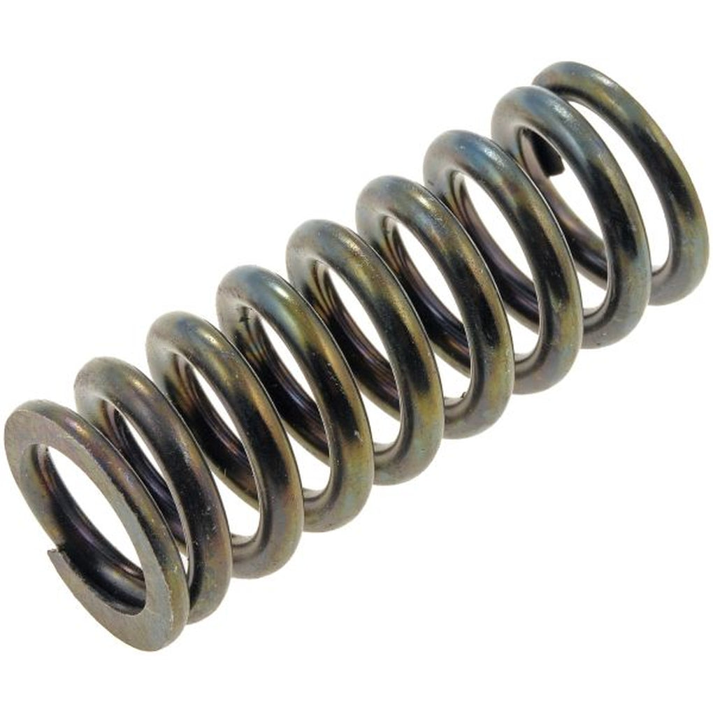 Dorman 38436 Door Hinge Spring