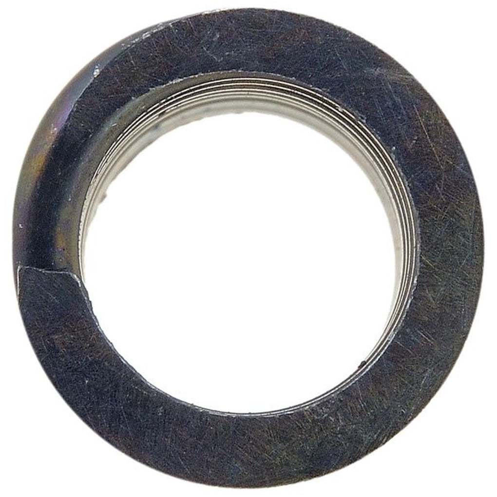 Dorman 38436 Door Hinge Spring