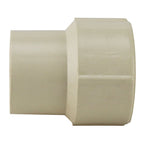 Apollo CPVCFA34W10PK Schedule 40 3/4 in. Slip x 3/4 in. Dia. FNPT CPVC Female Adapter