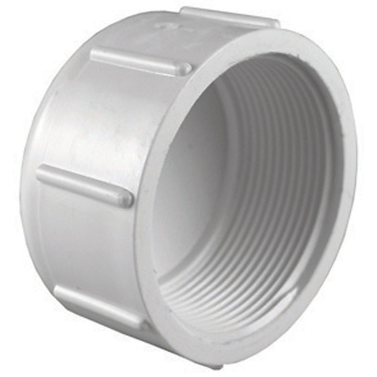 Charlotte Pipe PVC 02117 2400 Schedule 40 4 in. FPT PVC Cap