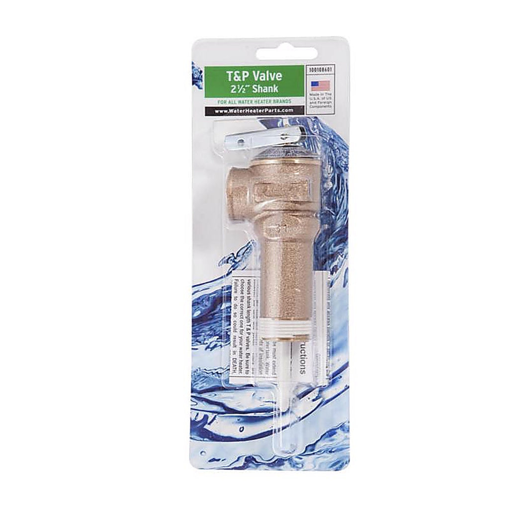 Reliance 100108601 2-1/2 in. MNPT Relief Valve 1/pc.