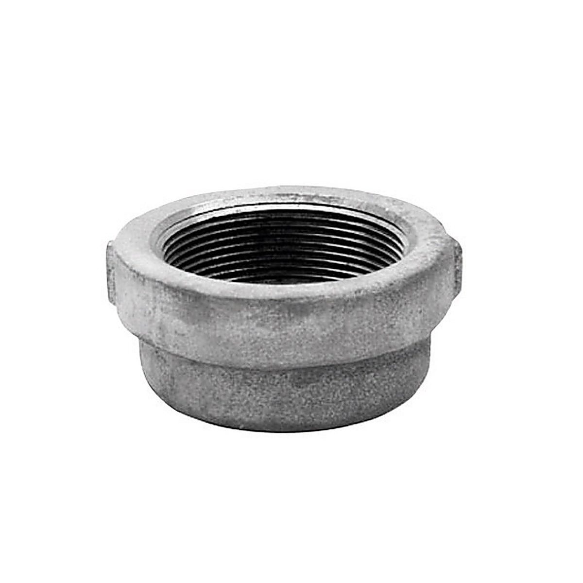 Anvil 8700132650 1/2 in. FPT Galvanized Malleable Iron Cap