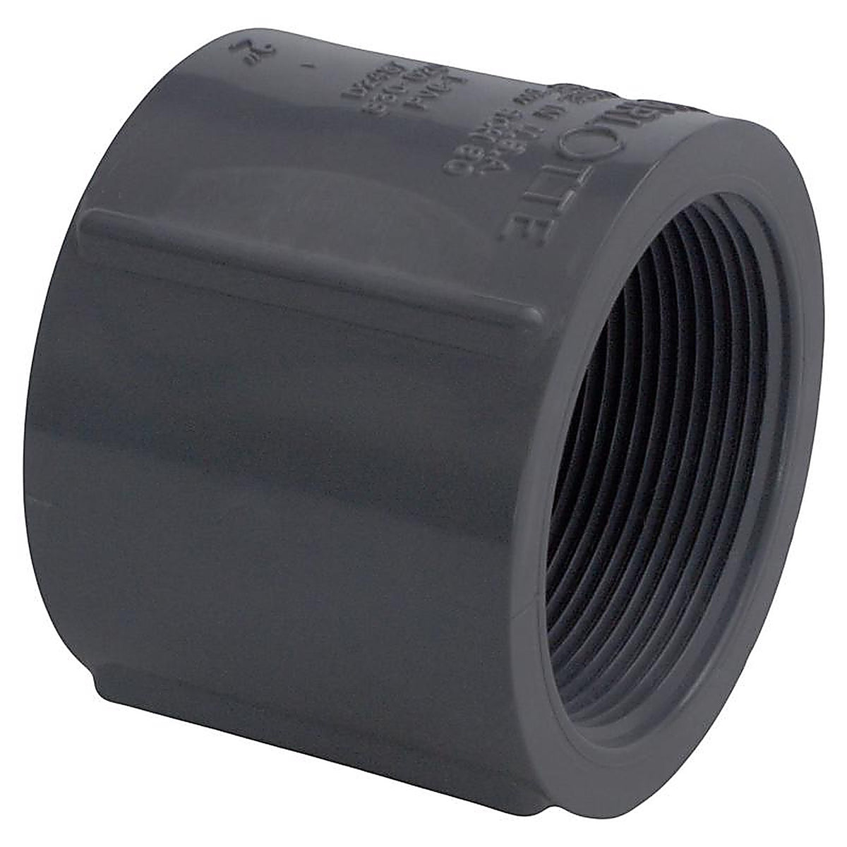 Charlotte Pipe PVC 08102 2000 Schedule 80 2 in. FPT x 2 in. Dia. FPT PVC Coupling