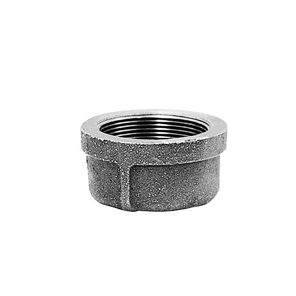 Anvil 8700132809 1-1/4 in. FPT Malleable Iron Cap