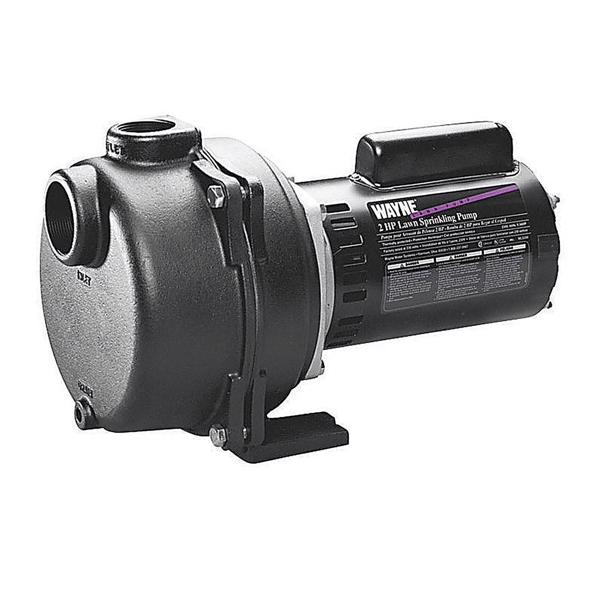 Wayne WLS200 2 hp 4200 gph Cast Iron Sprinkler Pump