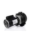 Wayne WLS200 2 hp 4200 gph Cast Iron Sprinkler Pump