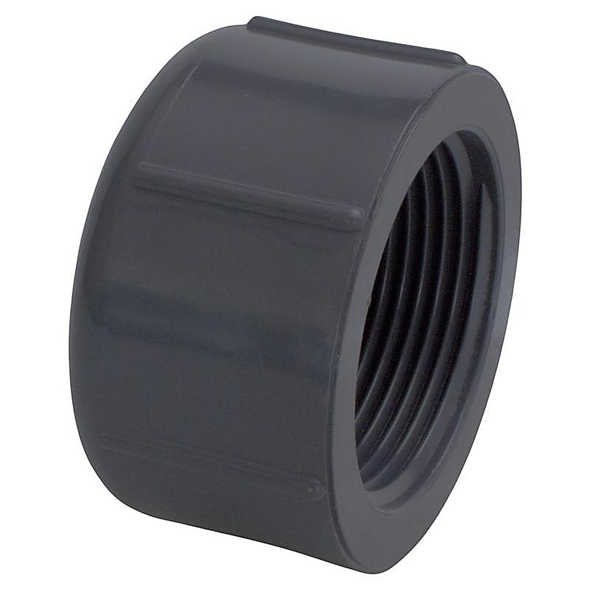 Charlotte Pipe PVC081171200 Schedule 80 3/4 in. MPT x 3/4 in. Dia. FPT PVC Threaded Cap