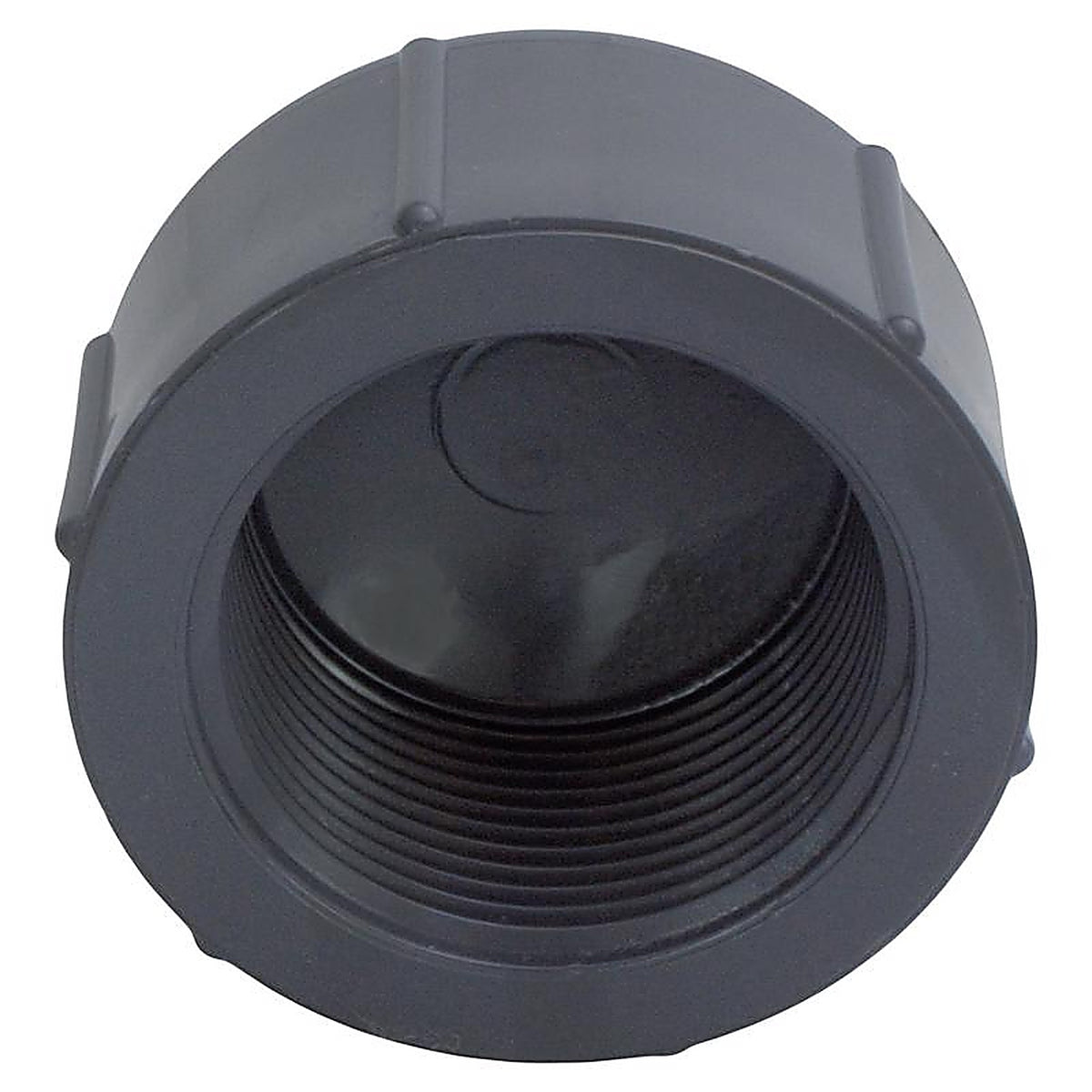 Charlotte Pipe PVC081171200 Schedule 80 3/4 in. MPT x 3/4 in. Dia. FPT PVC Threaded Cap