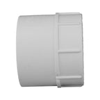 Charlotte Pipe PVC 02101 1600 Schedule 40 2 in. Slip x 2 in. Dia. FPT PVC Adapter