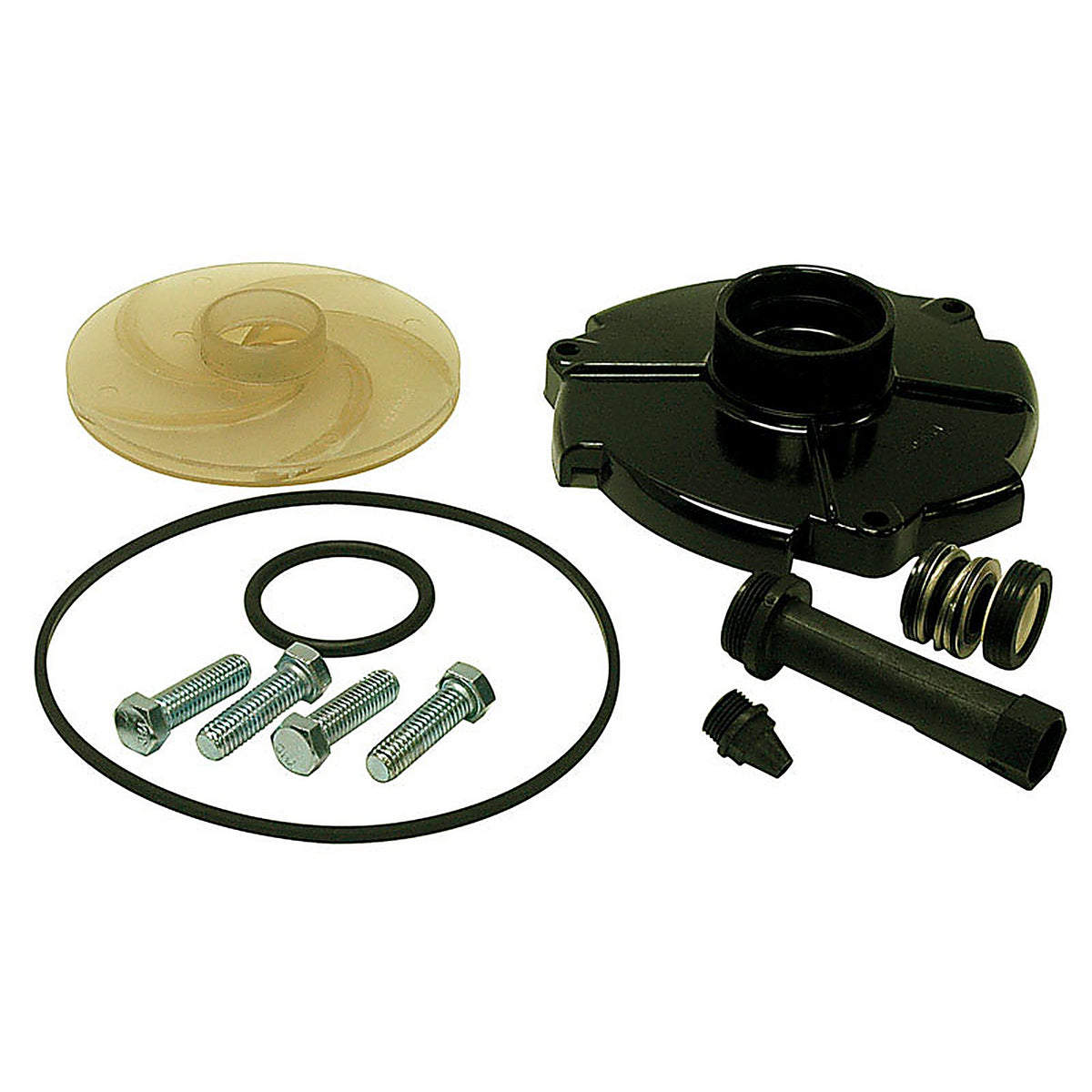 Parts 2O FPPKS100-P2 Pump Repair Kit