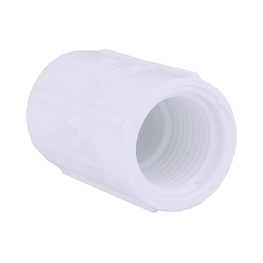 Charlotte Pipe PVC 02102 0500 Schedule 40 1/2 in. FPT x 1/2 in. Dia. FPT PVC Coupling