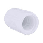 Charlotte Pipe PVC 02102 0500 Schedule 40 1/2 in. FPT x 1/2 in. Dia. FPT PVC Coupling