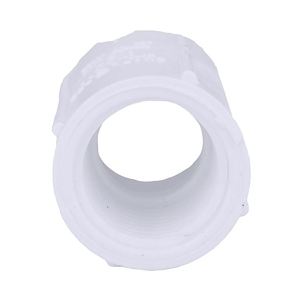 Charlotte Pipe PVC 02102 0500 Schedule 40 1/2 in. FPT x 1/2 in. Dia. FPT PVC Coupling