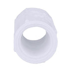 Charlotte Pipe PVC 02102 0500 Schedule 40 1/2 in. FPT x 1/2 in. Dia. FPT PVC Coupling