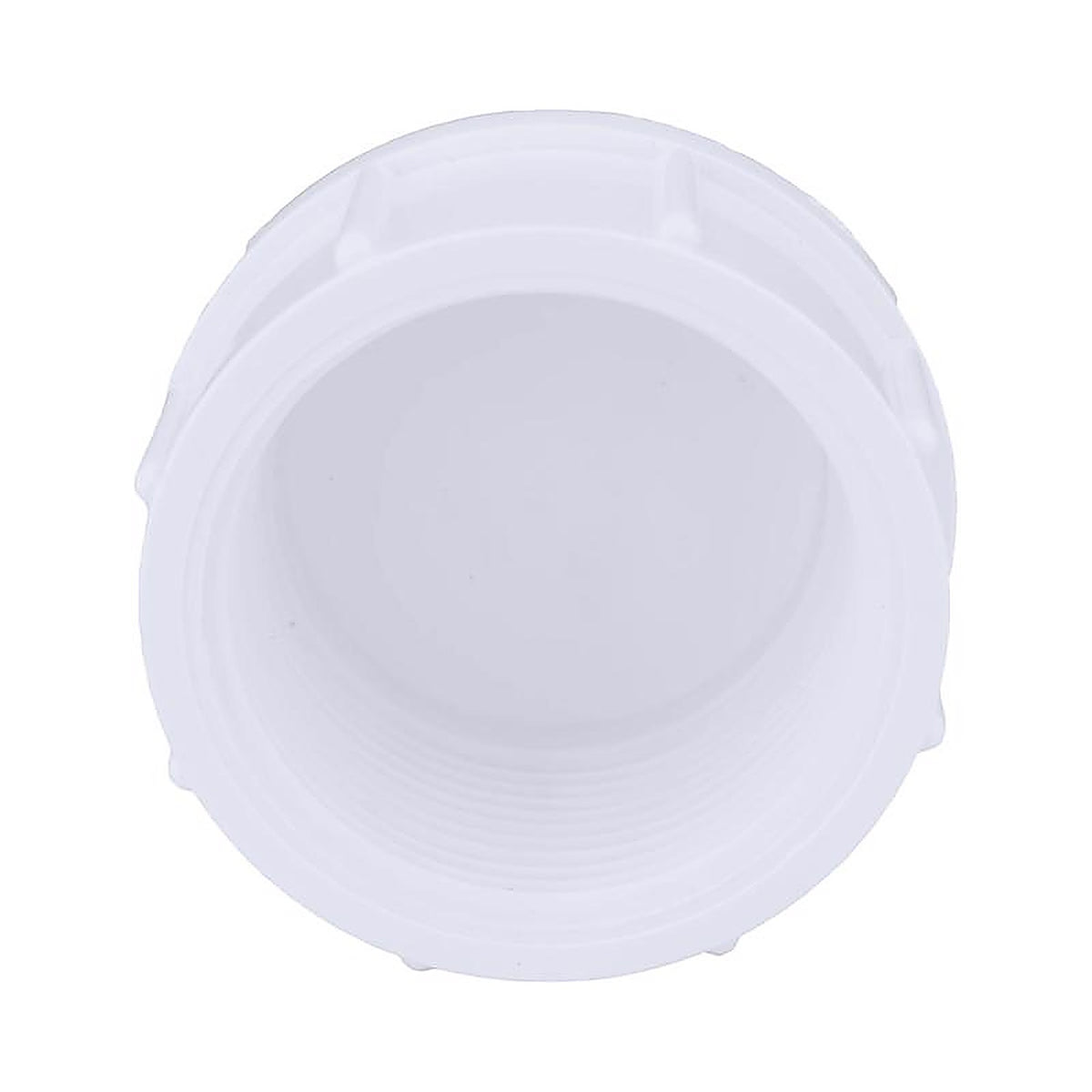 Charlotte Pipe PVC 02117 1200 Schedule 40 1 in. FPT x 1 in. Dia. FPT PVC Cap