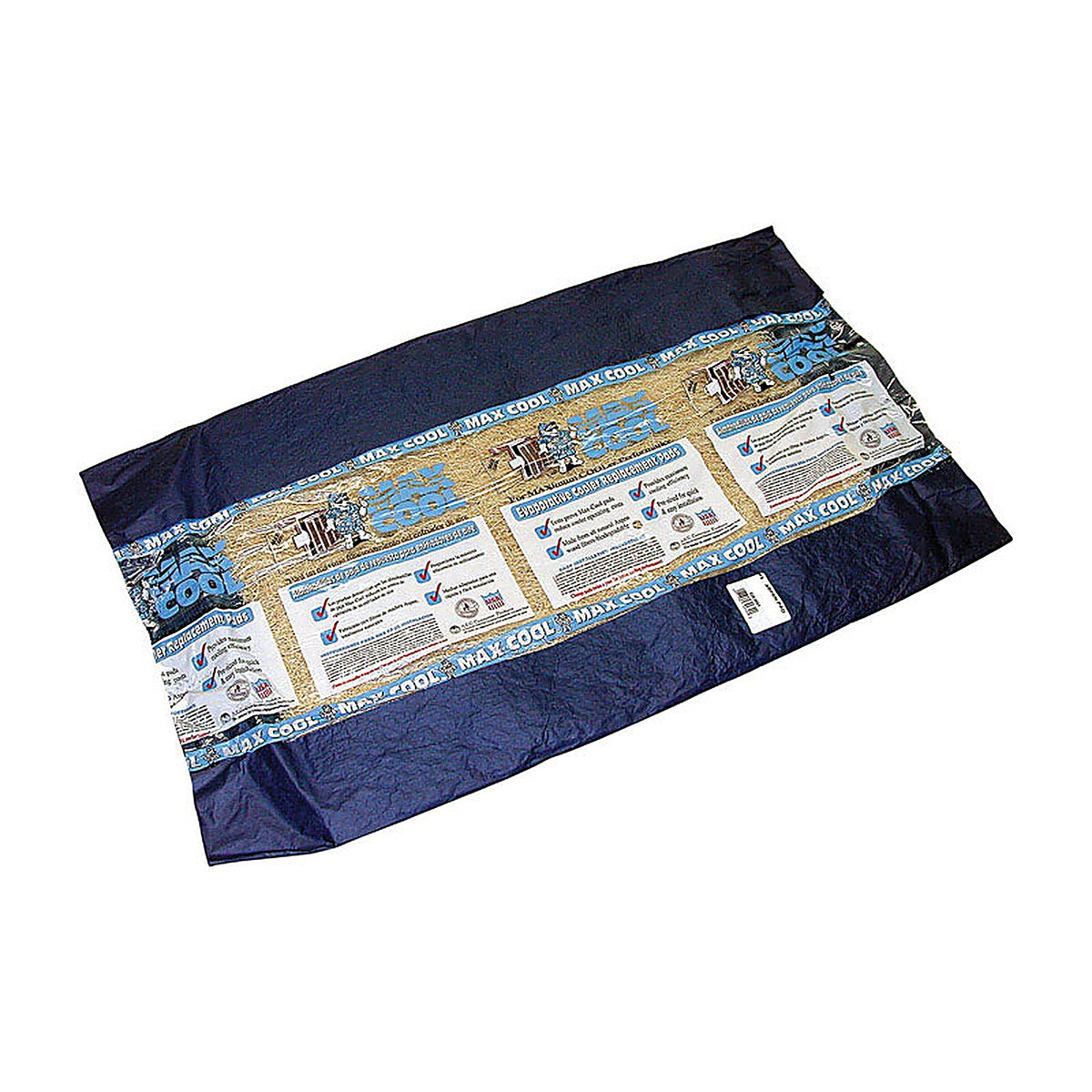 Dial 3005 24 in. H x 36 in. W Long Strand Excelsior Beige Aspen Pad