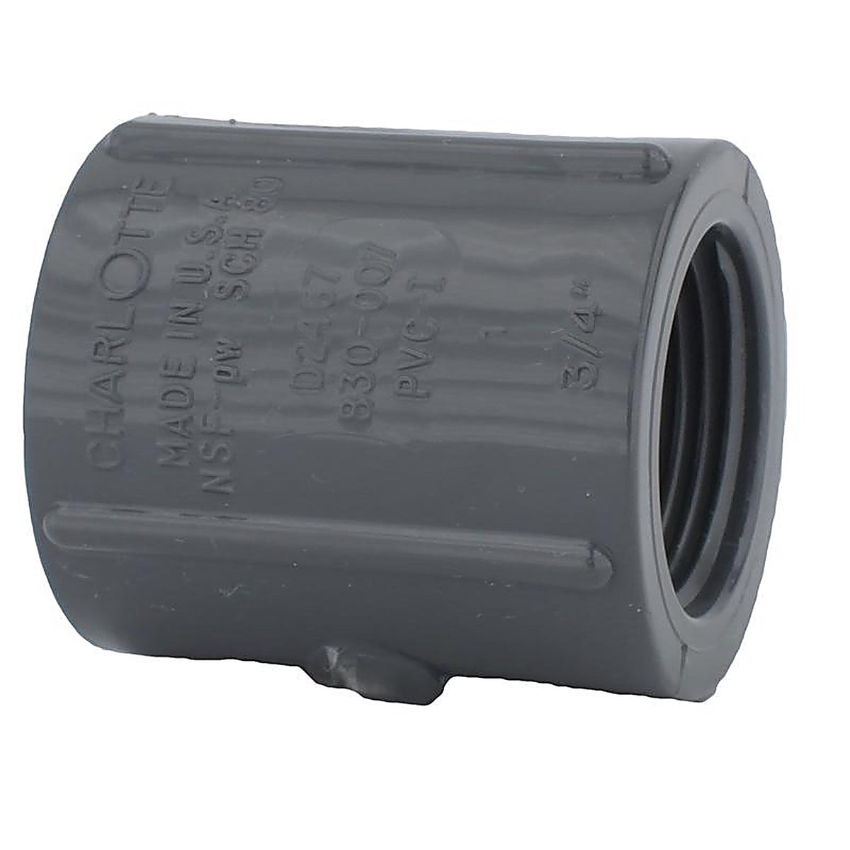 Charlotte Pipe PVC 08102 1200 80 3/4 in. FPT x 3/4 in. Dia. FPT PVC Coupling