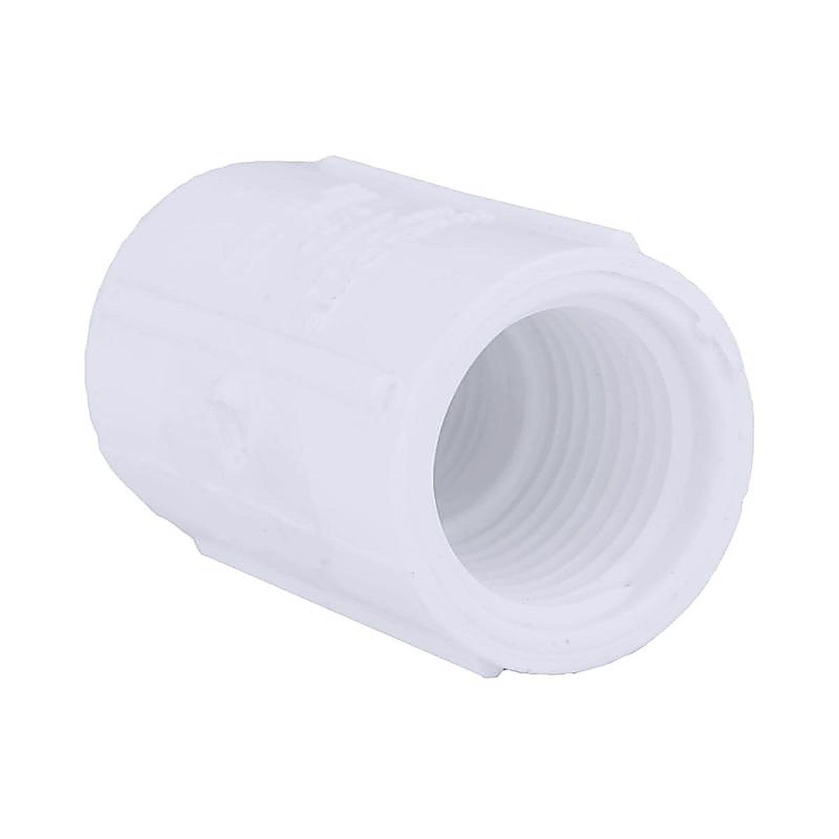 Charlotte Pipe PVC 02101 3600 Schedule 40 3/4 in. Slip x 1 in. Dia. FPT PVC Adapter