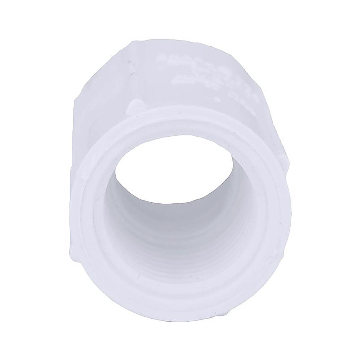Charlotte Pipe PVC 02101 3600 Schedule 40 3/4 in. Slip x 1 in. Dia. FPT PVC Adapter
