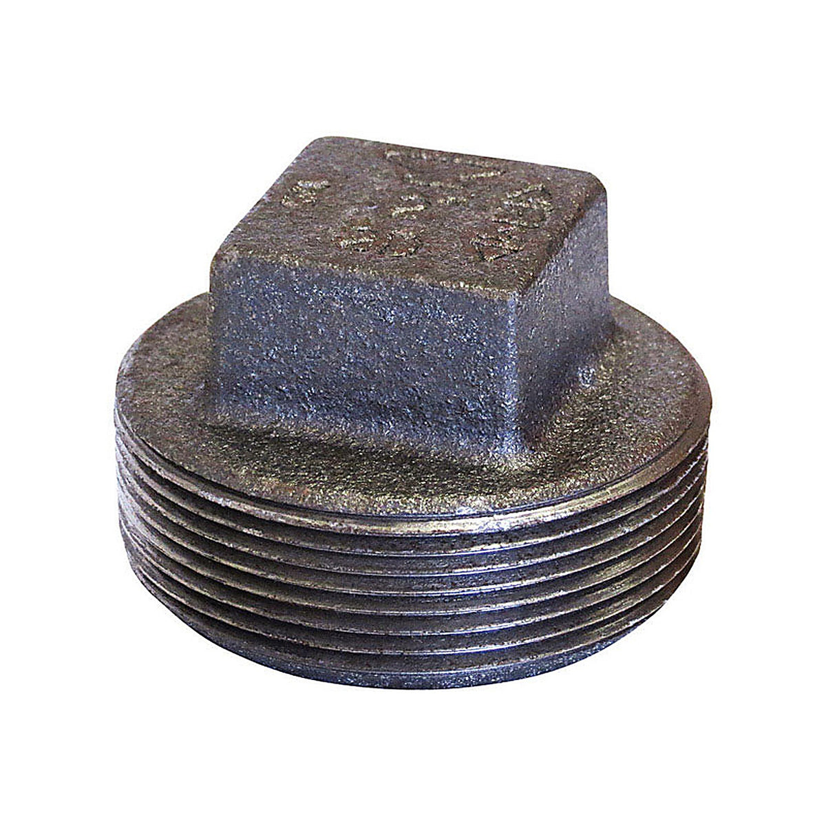 Anvil 8700159257 1/2 in. MPT Black Malleable Iron Square Head Plug