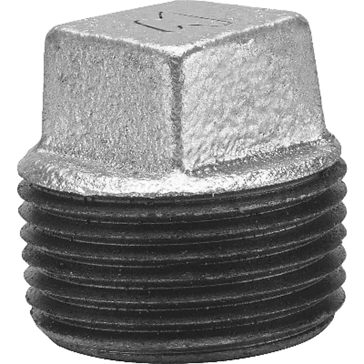 Anvil 8700159802 3/8 in. Malleable Iron Square Head Plug