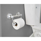 Delta DF704PC 5 in. L Polished Chrome Stainless Steel Toilet Paper Holder with Assist Bar