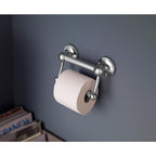 Delta DF704PC 5 in. L Polished Chrome Stainless Steel Toilet Paper Holder with Assist Bar