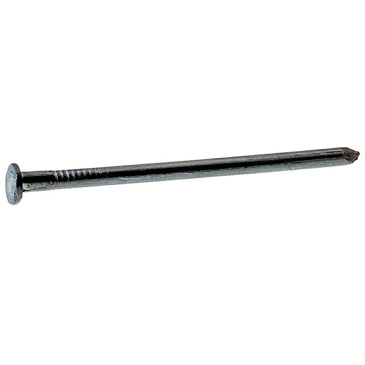 Grip-Rite 8C1 8D 2-1/2 in. Common Bright Steel Nail Flat 1 lb.
