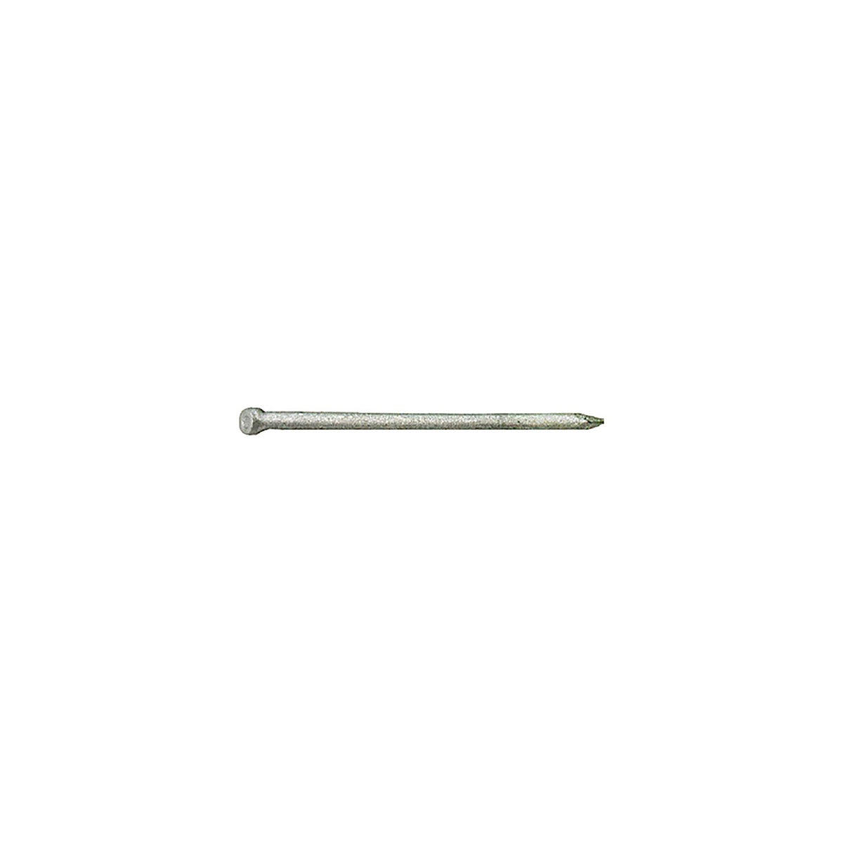 Grip-Rite 12HGF1 12D 3-1/4 in. Finishing Hot-Dipped Galvanized Steel Nail Brad 1 lb.