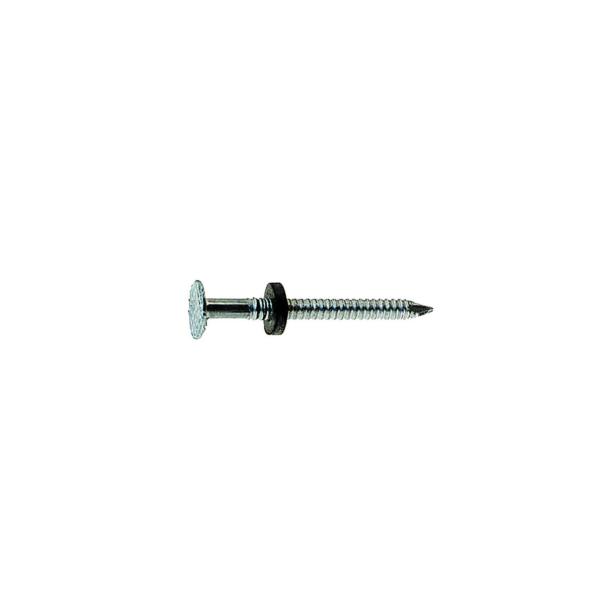 Grip-Rite 134EGNEO1 1-3/4 in. Roofing Electro-Galvanized Steel Nail Flat 1 lb.