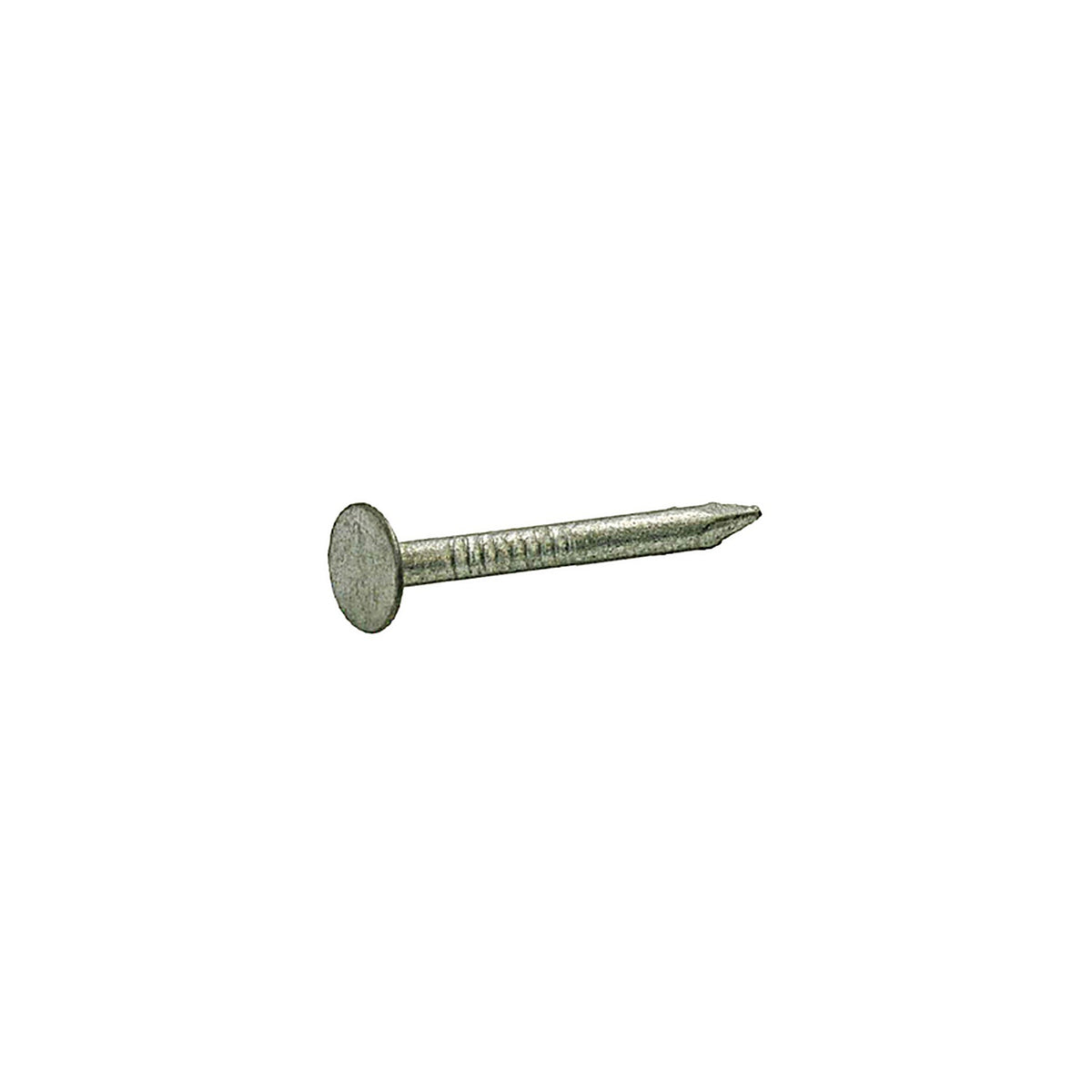 Grip-Rite 2HGRFG1 2 in. Roofing Hot-Dipped Galvanized Steel Nail Smooth Shank Flat 1 lb.