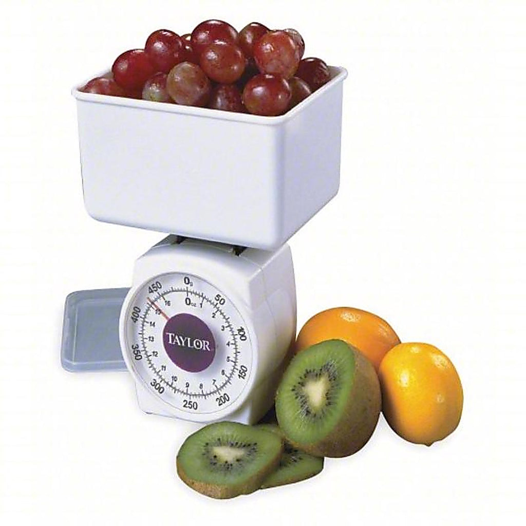 Taylor 37204014T White Analog Food Scale 1 lb.
