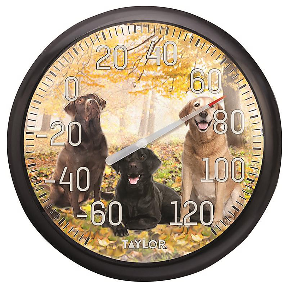 Taylor 6703N Dogs Design Dial Thermometer Plastic Multicolored